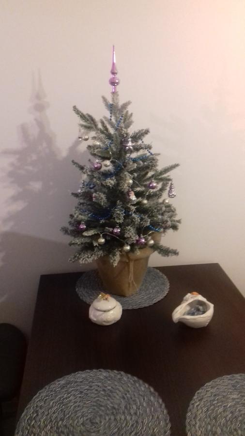Karmazynowy Apartament Nad Morzem *